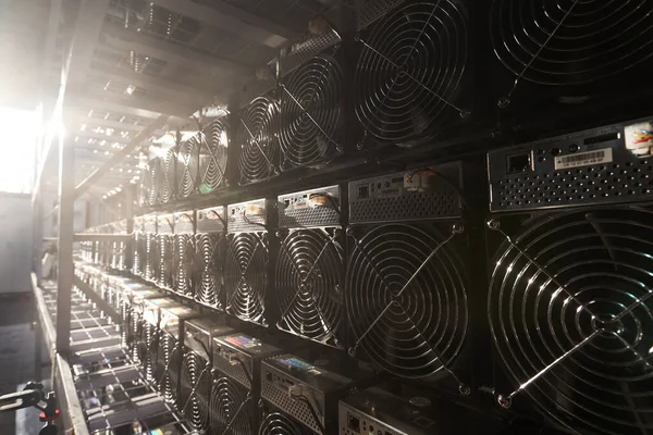 Bitcoin ASIC miners in warehouse. ASIC mining equipment on stand racks for mining cryptocurrency in steel container. Blockchain techology application specific integrated circuit units storage. — Stock Photo, Image