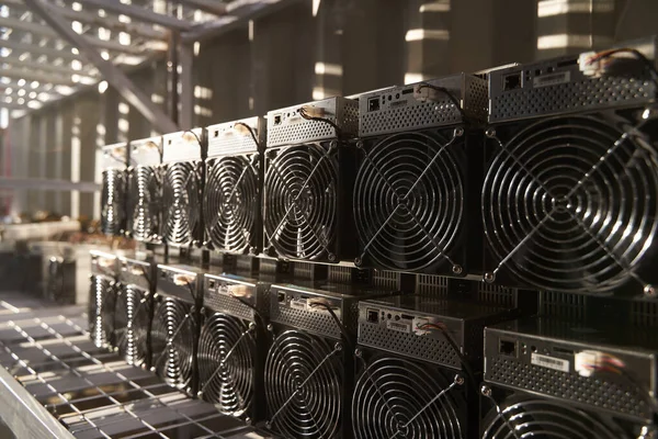 Bitcoin ASIC Bergleute im Lager. ASIC-Bergbauausrüstung auf Ständern für den Abbau von Kryptowährungen in Stahlcontainern. Blockchain-Technologie anwendungsspezifische Speicherung integrierter Schaltungseinheiten. — Stockfoto