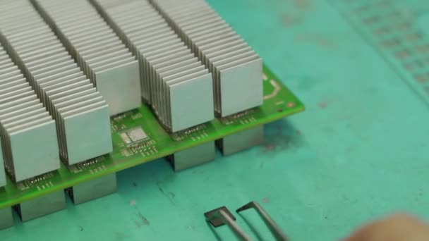 Tekniker som placerar ytmonterad elektronisk bitcoin ASIC gruvarbetare BGA chip från kretskortet med pincett. Makroskott. Ingenjör installera chip innan lödning i microprocessor reparationscenter. — Stockvideo