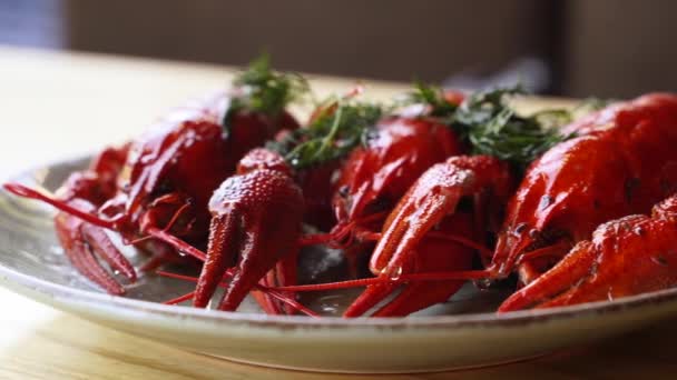 Crawfish cozido vermelho servido em um prato com endro verde. Prato de comida de luxo no restaurante. Frutos do mar de lagosta cozidos no vapor com em uma mesa. Lagostins vermelhos cozidos a vapor em câmara lenta. — Vídeo de Stock