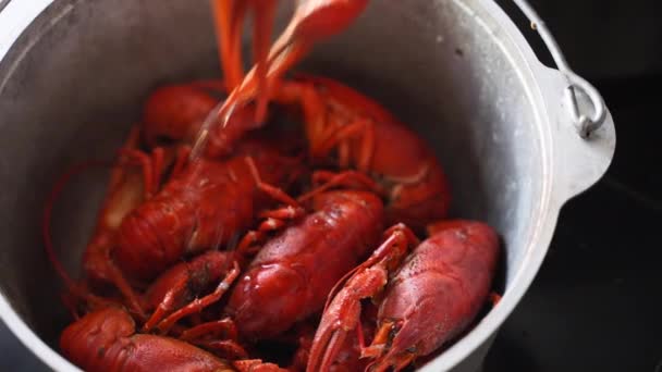 Marisco de lagosta cozido no vapor numa panela. Crayfish vermelho cozido no vapor em uma panela, Chef servindo prato de comida de luxo do mar. Vapor em câmara lenta. — Vídeo de Stock