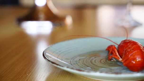 Σεφ που σερβίρει πολυτελή θαλασσινά πιάτα και βάζει βραστή καραβίδα από κατσαρόλα στο πιάτο με λαβίδες. Θαλασσινά αστακού στον ατμό με άνηθο σε καζάνι. Βραστό κόκκινο καραβίδες ατμό σε ένα τηγάνι. Ατμός σε αργή κίνηση. — Αρχείο Βίντεο