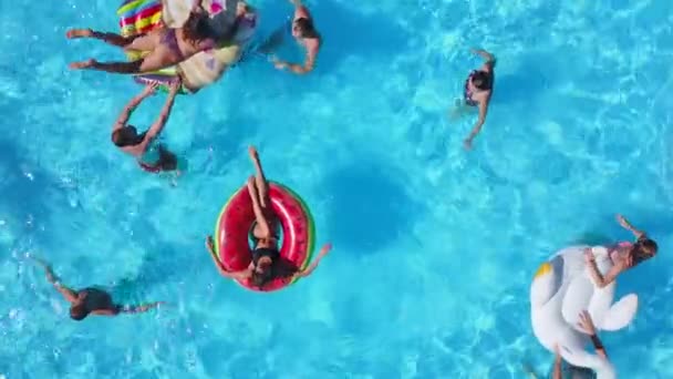 Aérea de amigos teniendo fiesta en piscina con flamenco inflable, cisne, colchón. Los jóvenes felices se relajan en un resort de lujo en un día soleado. Vista desde arriba. Chicas en bikini tomando el sol en un sol. — Vídeos de Stock