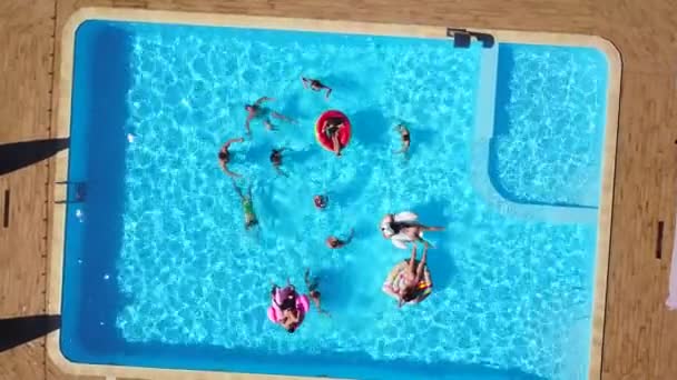 Antenne von Freunden, die Party im Schwimmbad mit aufblasbarem Flamingo, Schwan, Matratze. Glückliche junge Leute entspannen sich an sonnigen Tagen im Luxus-Resort. Blick von oben. Mädchen im Bikini sonnen sich in der Sonne. — Stockvideo