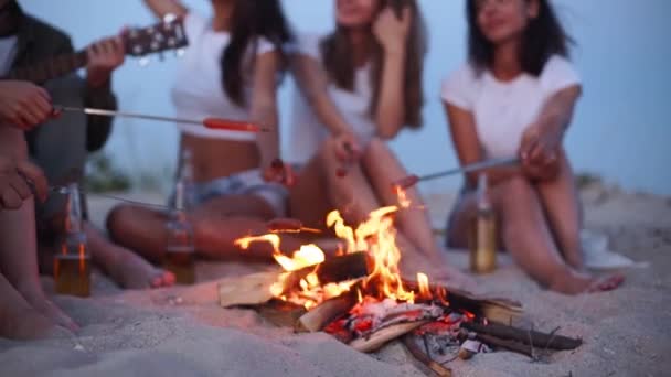 Närbild av vänner steka korv sitter runt brasan, dricka öl, spela gitarr på sandstrand. Ung grupp män och kvinnor med dryck singalong spelar gitarr nära lägereld i skymningen. — Stockvideo