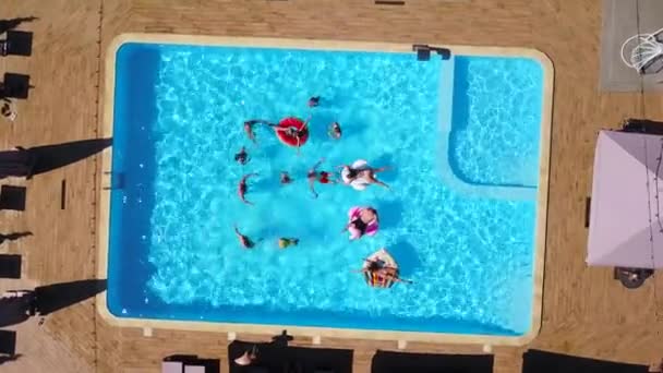 Luchtfoto van vrienden die feesten in het zwembad met opblaasbare flamingo, zwaan, matras. Vrolijke jongeren ontspannen in luxe resort op zonnige dag. Zicht van bovenaf. Meisjes in bikini zonnebaden in de zon. — Stockvideo