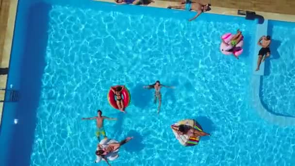 Aéreo. Amigos que refrigeram na piscina com flamingo inflável, cisne, colchão. Jovens felizes banham-se em colchões flutuantes em resort de luxo. Vista de cima. Meninas de biquíni tomando banho de sol ao sol — Vídeo de Stock