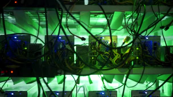 Penambang Bitcoin di peternakan besar. Peralatan tambang ASIC di rak berdiri tambang cryptocurrency dalam wadah baja. Aplikasi teknologi Blockchain spesifik datacenter sirkuit terintegrasi. Lampu ruang server. — Stok Video