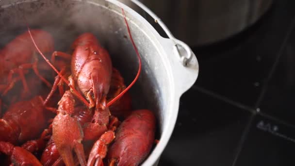 Steamed lobster seafood in a pot. Boiled red crayfish steaming in a pan, Chef serving luxury sea food dish poiring it with hot bouillon from laddle. Steam in slow motion. — Video Stock