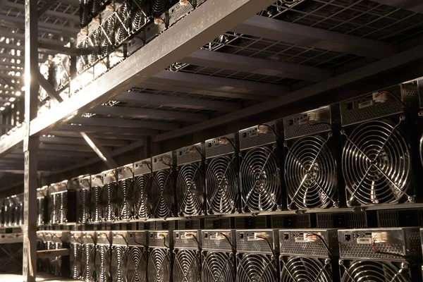 Bitcoin ASIC Bergleute im Lager. ASIC-Bergbauausrüstung auf Ständern für den Abbau von Kryptowährungen in Stahlcontainern. Blockchain-Technologie anwendungsspezifische Speicherung integrierter Schaltungseinheiten. — Stockfoto