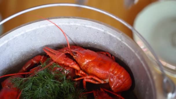 Chef servindo prato de comida do mar de luxo e coloca lagosta fervida de panela para prato com pinças. Marisco de lagosta cozido no vapor com endro num caldeirão. Lagostim vermelho cozido no vapor em uma panela. Vapor em câmara lenta. — Vídeo de Stock