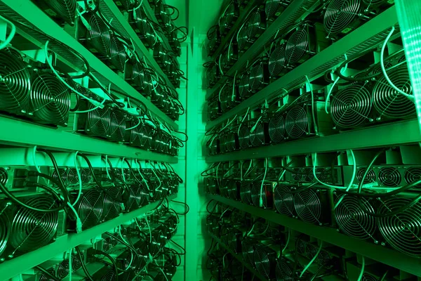 Bitcoin-Miner in einer großen Farm. ASIC-Bergbaugeräte auf Standbrettern fördern Kryptowährungen in Stahlcontainern. Blockchain-Technologie anwendungsspezifisches integriertes Schaltungsrechenzentrum. Serverraumbeleuchtung. — Stockfoto