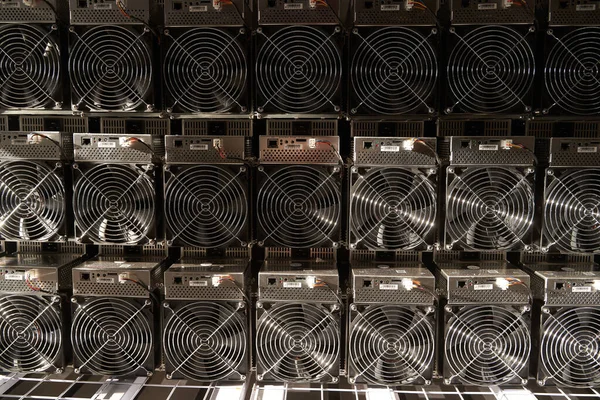 Bitcoin ASIC Bergleute im Lager. ASIC-Bergbauausrüstung auf Ständern für den Abbau von Kryptowährungen in Stahlcontainern. Blockchain-Technologie anwendungsspezifische Speicherung integrierter Schaltungseinheiten. — Stockfoto