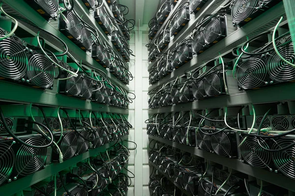 Bitcoin-Miner in einer großen Farm. ASIC-Bergbaugeräte auf Standbrettern fördern Kryptowährungen in Stahlcontainern. Blockchain-Technologie anwendungsspezifisches integriertes Schaltungsrechenzentrum. Serverraumbeleuchtung. — Stockfoto