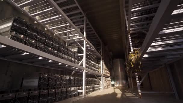 Bitcoin ASIC mijnwerkers in magazijn. ASIC mijnbouw apparatuur op standaard rekken voor de mijnbouw cryptogeld in stalen container. Blockchain technologie applicatie specifieke geïntegreerde schakelingen opslag. — Stockvideo