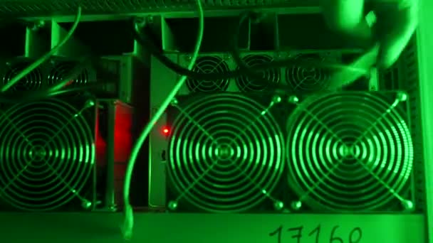 Bitcoin servicio de equipos de minería en la granja criptomoneda. Técnico obtiene conector de cable de enchufe de alimentación de ASIC mineros enchufe en rack en la sala de centro de datos. Imágenes de configuración de la plataforma de hardware Blockchain. — Vídeo de stock