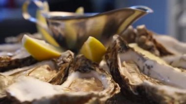 Lüks restoran ziyaretçileri için servis edilen limonlu taze istiridye tepsisi. Gurmeler için geleneksel meditaryen deniz ürünleri.