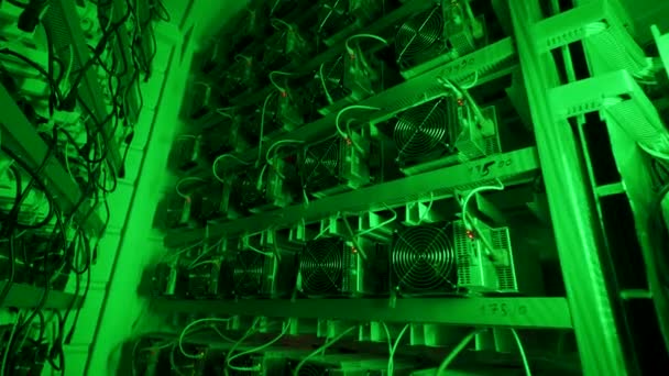 Bitcoin gruvarbetare på stor gård. ASIC gruvutrustning på stativ rack gruva cryptocurrency i stålbehållare. Blockkedja tekologi applikationsspecifik integrerad krets datacenter. Serverrumsbelysning. — Stockvideo