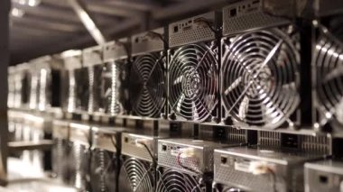 Bitcoin ASIC madencileri depoda. ASIC maden ekipmanları çelik konteynırdaki kripto para madenciliği için raflarda. Elektronikleri soğutmak için vantilatör ve vantilatör. Hava soğutucuları.