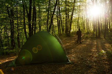 Tents in a beautifull forest with man on background