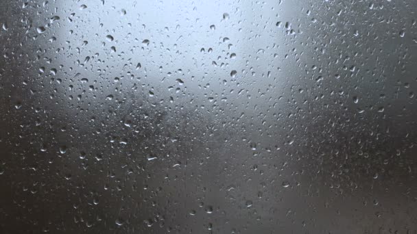 Regen, große Regentropfen schlagen während eines Schauers gegen ein Fenster — Stockvideo