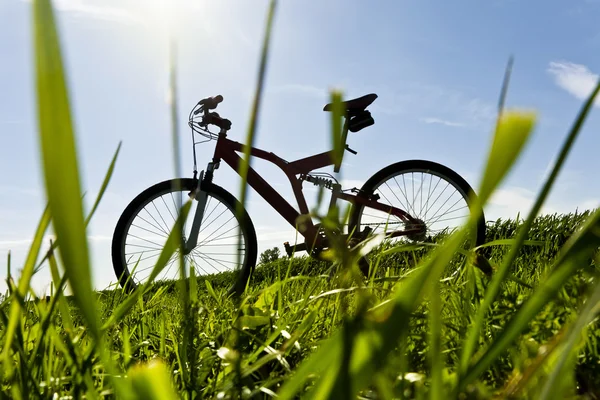 Mountainbike på landsväg — Stockfoto