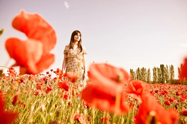 Femme dans le champ de pavot — Photo