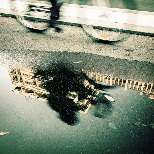 Велосипедная дорожка после дождя Стоковое Фото