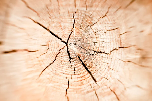 Close-up hout gesneden textuur — Stockfoto