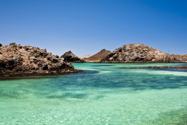 Landscape with sea in Fuerteventura clipart