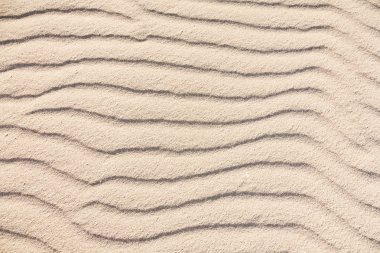 Sandy beach arka plan yaz için.