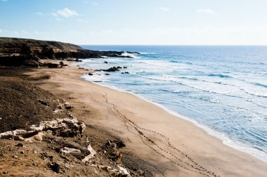 Landscape with sea in Fuerteventura clipart