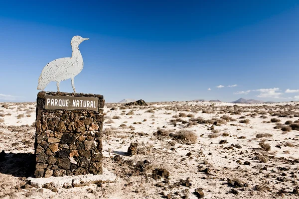 Parque de Corralejo. Fuerteventura —  Fotos de Stock