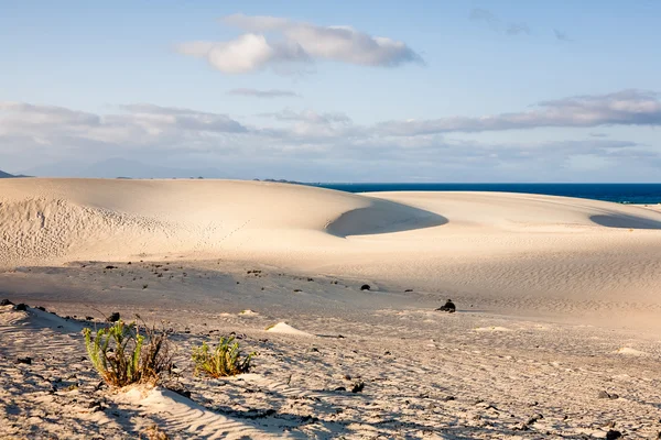 Paesaggio desertico al Parco di Corralejo — Foto Stock