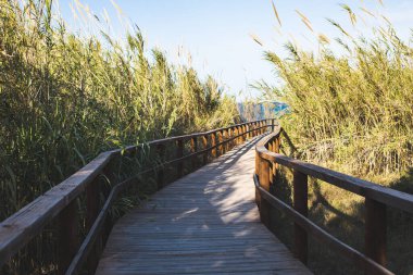 Sahile yakın bir köprü.