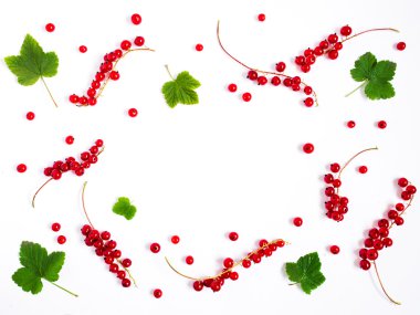 Beyaz arkaplanda kırmızı frenk üzümü