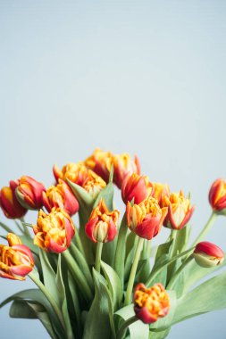 Kırmızı lale buketi.