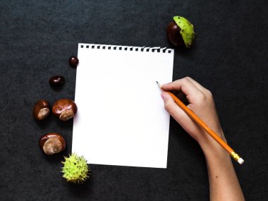 Mock-up kestane ve kağıdın