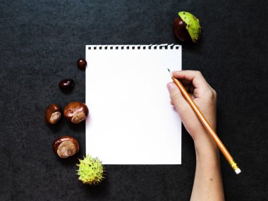 Mock-up kestane ve kağıdın