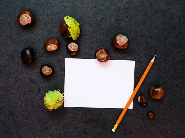 Maquette avec châtaignes et une feuille de papier — Photo