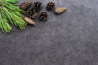 Noel artalanları koniler ile