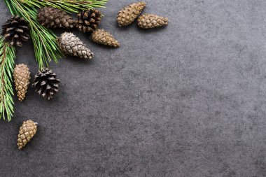 Noel artalanları koniler ile