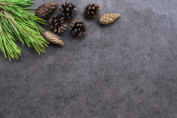 Noel artalanları koniler ile