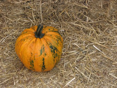 Kabak bir saman üzerinde