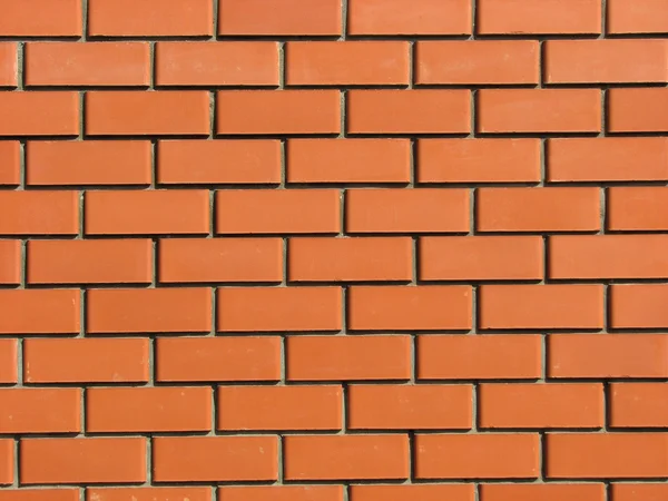 New brick wall from red bricks Royalty Free Stock Images