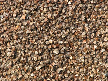 Arka plan doku olarak buğday