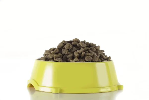 Dog food in yellow bowl, white studio background — Zdjęcie stockowe