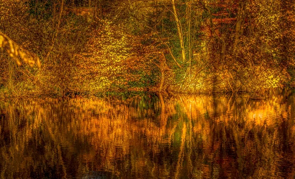 Отражение Осенних Красок Озере Местного Парка — стоковое фото