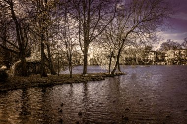 Arbouretum, Walsall 'daki büyük göl.