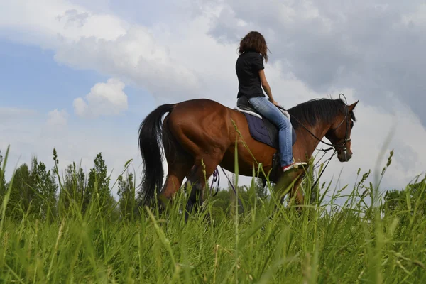 Dívka na koni, vyjížďky na koních pro začátečníky — Stock fotografie